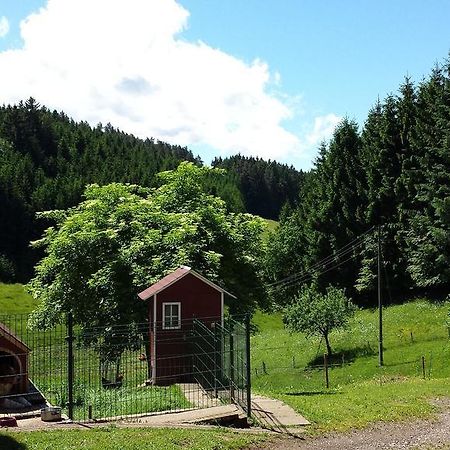 Ferienwohnung Ringwald Biederbach Экстерьер фото