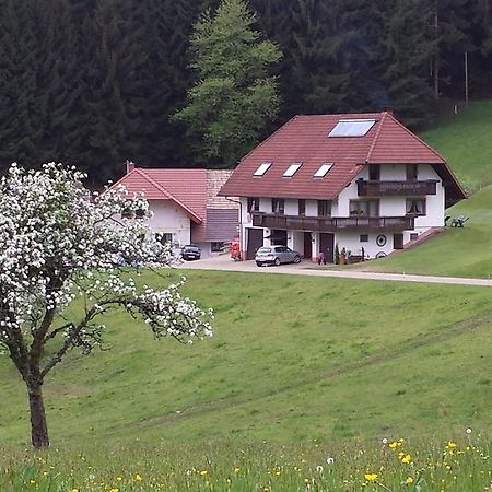 Ferienwohnung Ringwald Biederbach Экстерьер фото