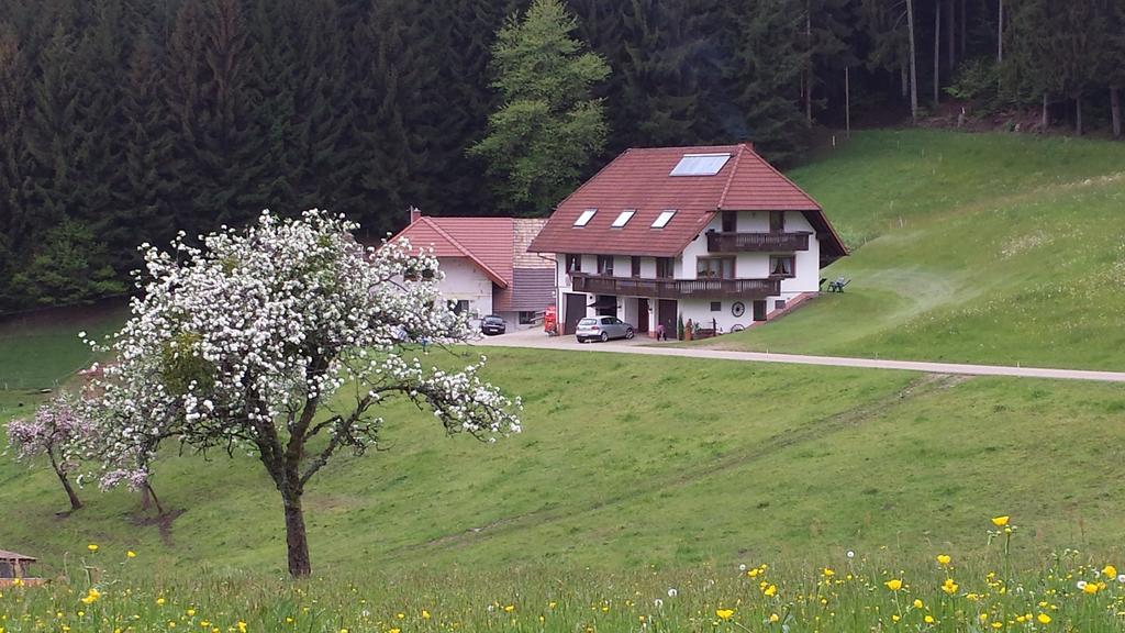Ferienwohnung Ringwald Biederbach Экстерьер фото